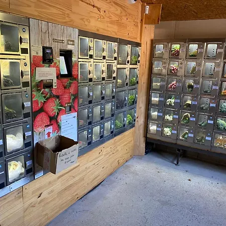 Le Cocon Des Remparts-romantique A * Pierrefonds