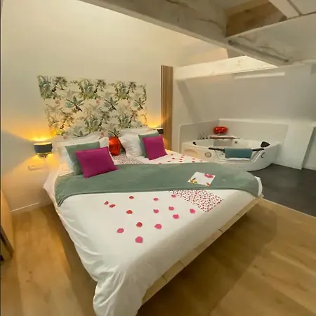 Apartment Le Cocon Des Remparts-romantique A *